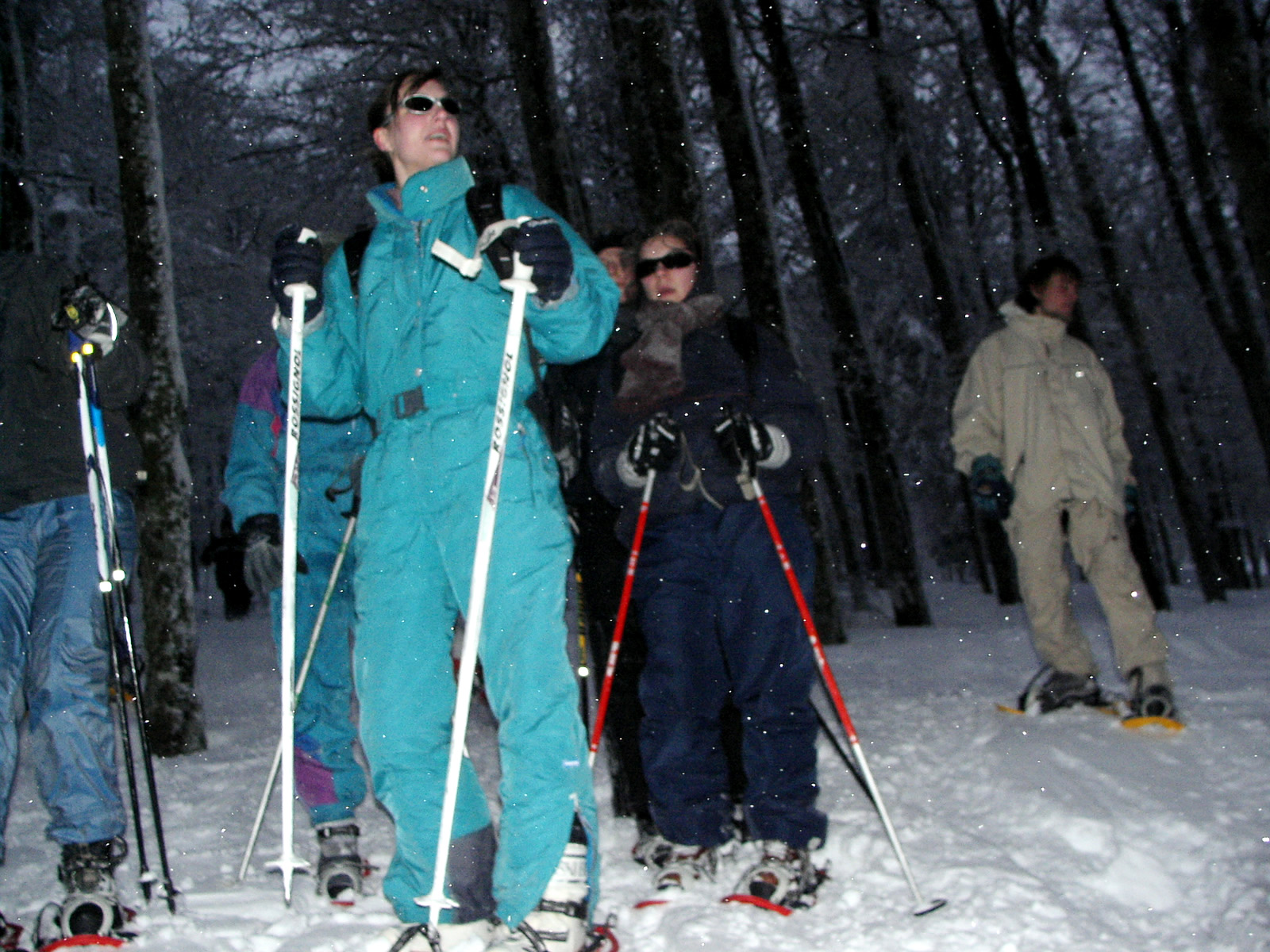 KIF_7854.JPG
