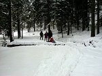 kif_2676b.jpg