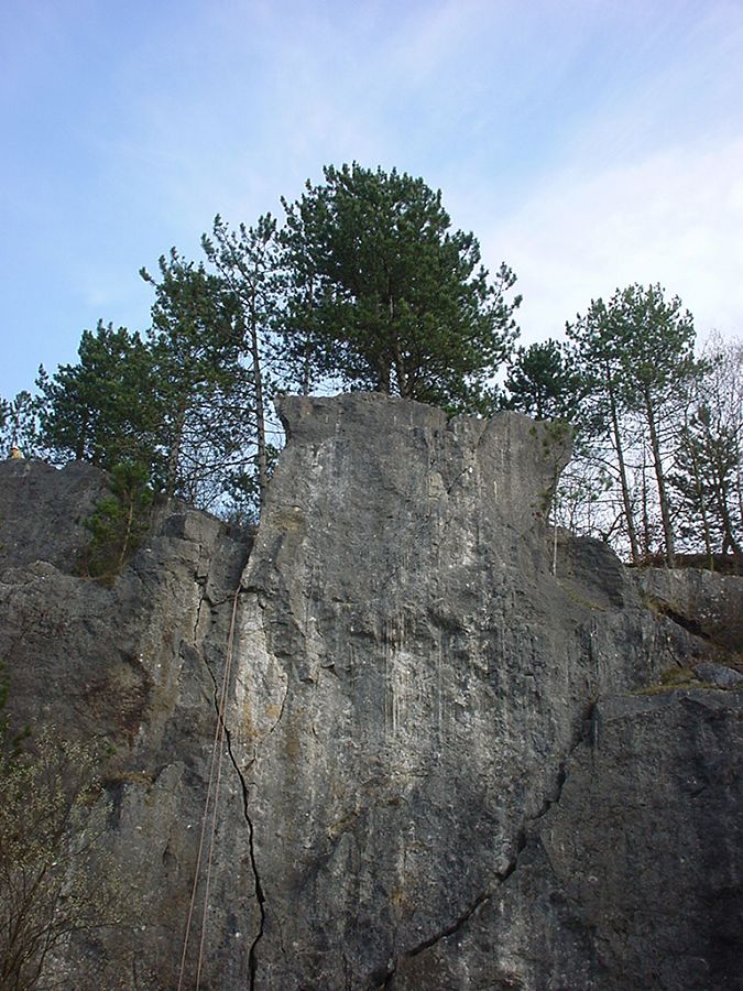 fDSC00012.JPG