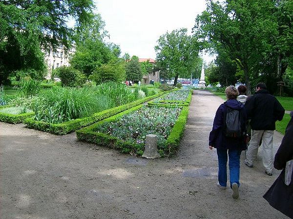 DSCI0007.JPG