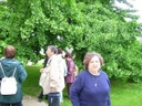 DSCI0021.JPG