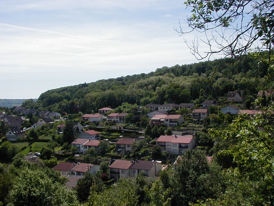 P1010412.JPG