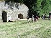 KIF_2627.JPG