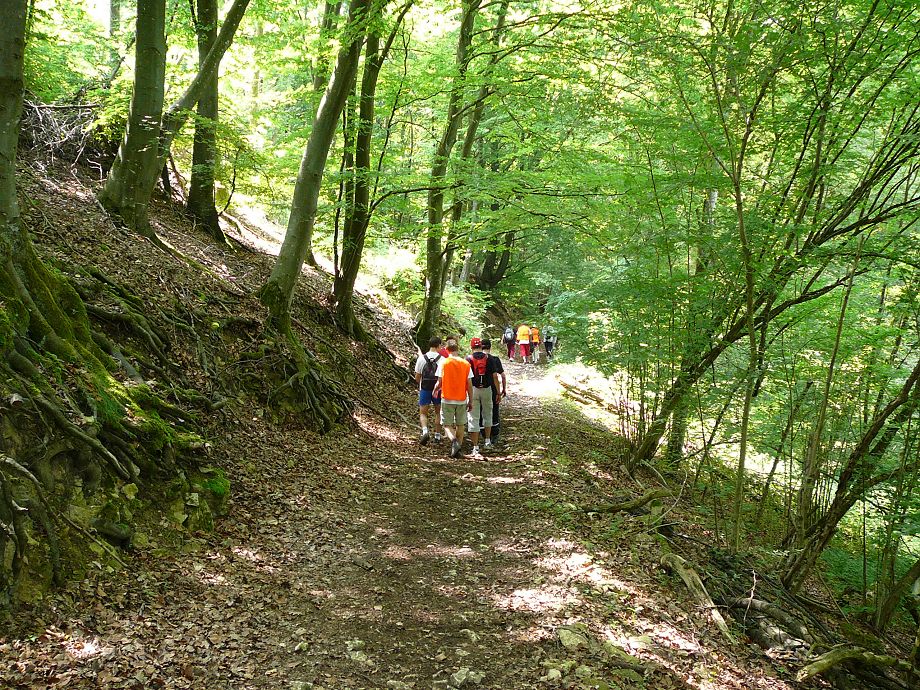 P1000057.JPG