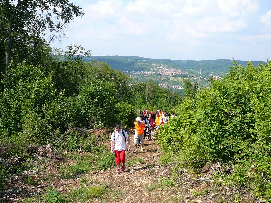 P1000100.JPG