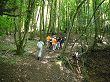 P1000086.JPG
