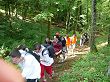 P1000091.JPG