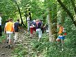 P1000094.JPG