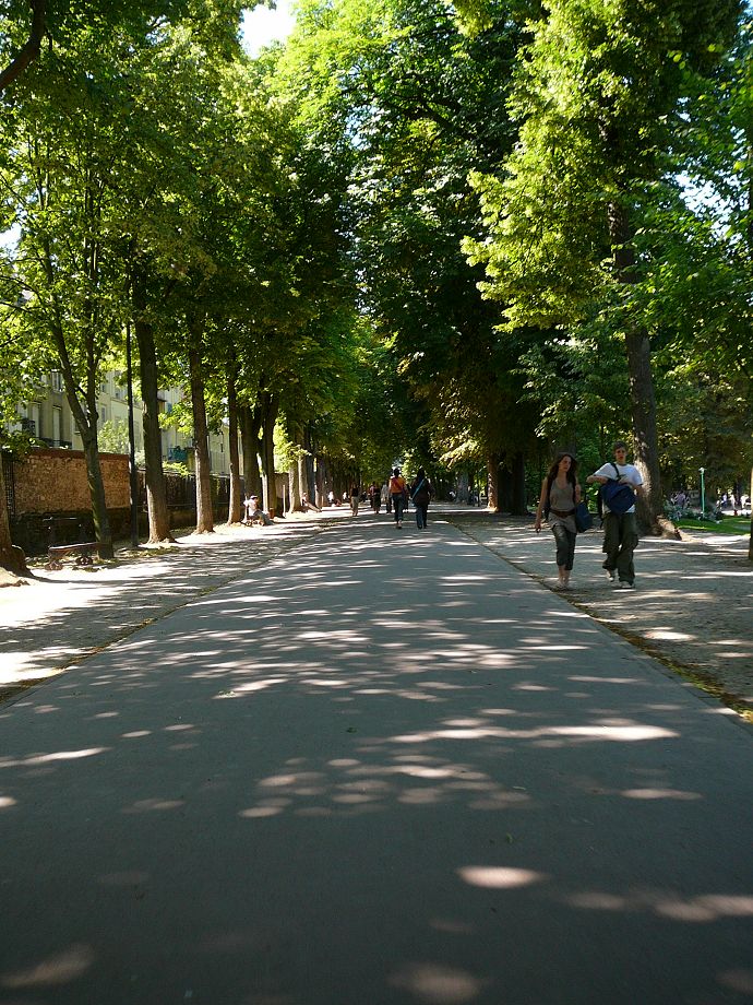P1000160.JPG
