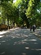 P1000160.JPG
