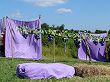 P1000224.JPG