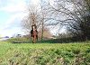 P1020510.JPG