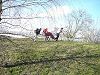 P1020511.JPG