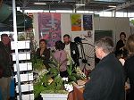 IMG_3585.JPG