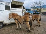IMG_3656.JPG