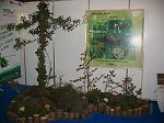 IMG_3697.JPG