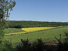 KIF_7890.JPG