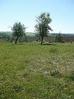 P1030169.JPG
