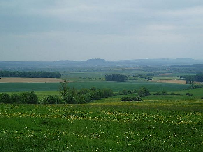 a28P1010036.JPG