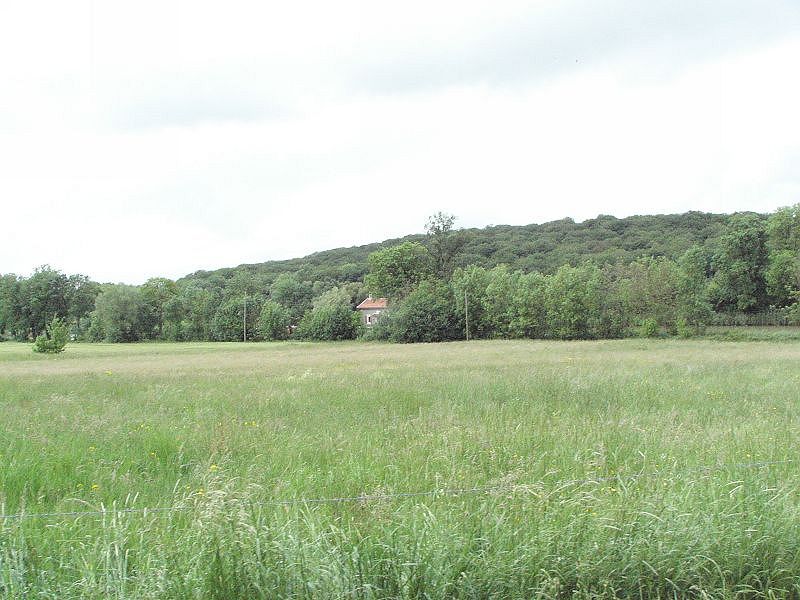 KIF_8124.JPG