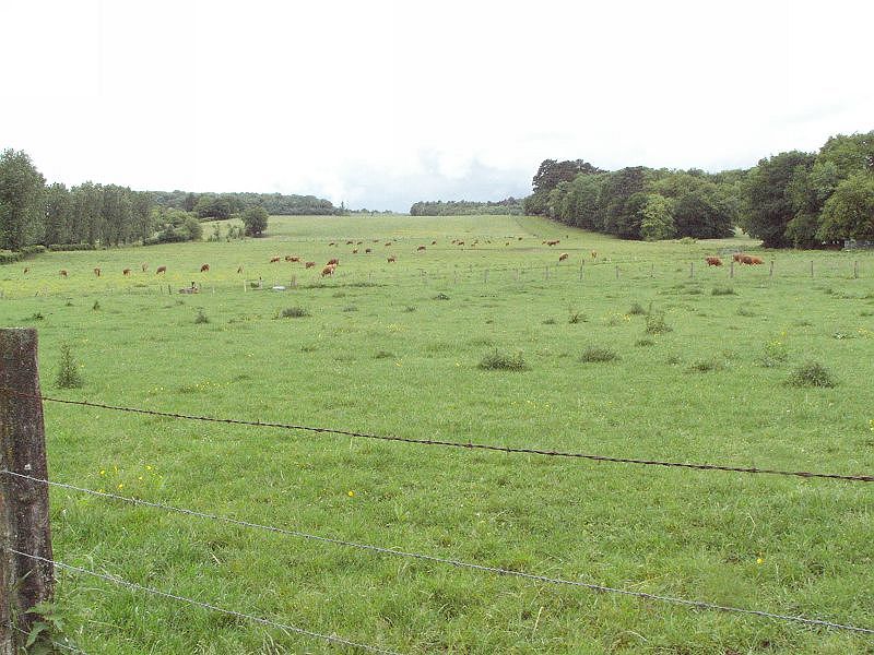 KIF_8238.JPG