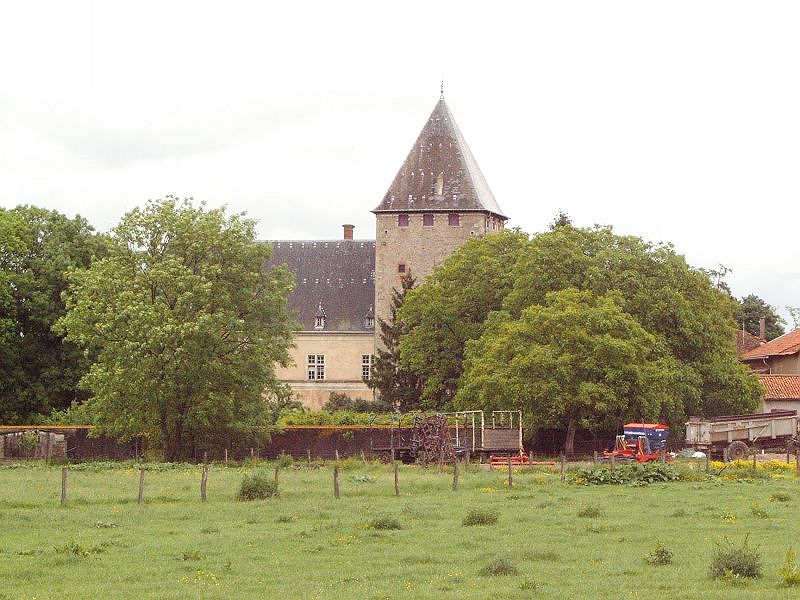 KIF_8246.JPG