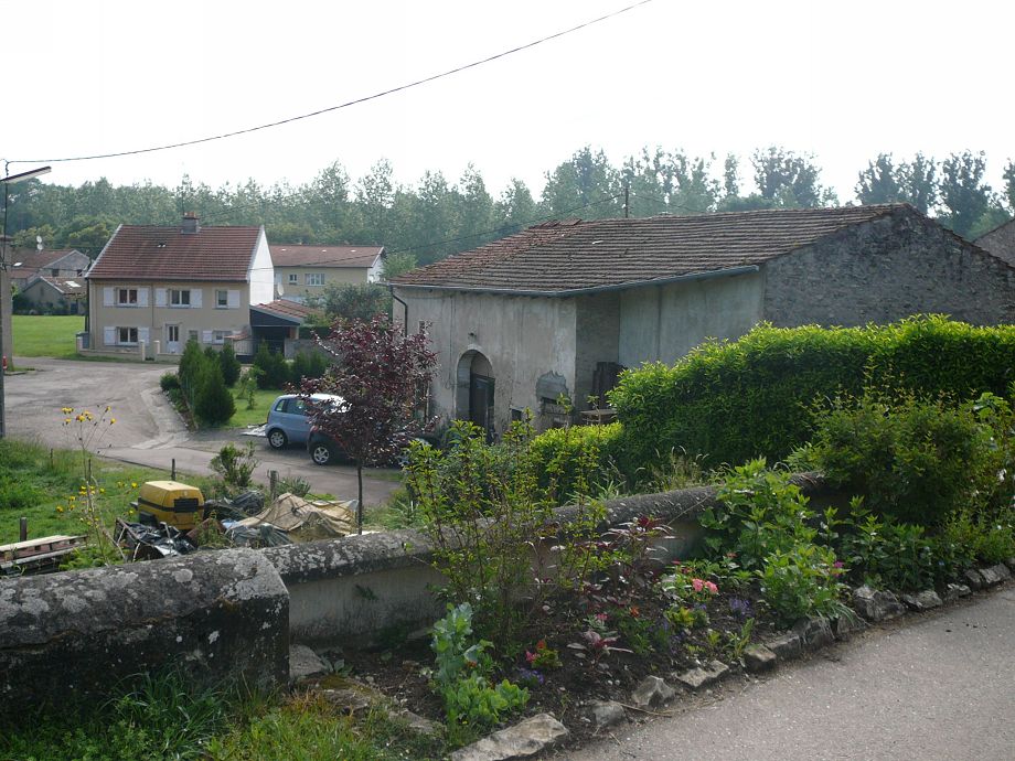 P1030367.JPG