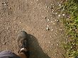 P1030360.JPG