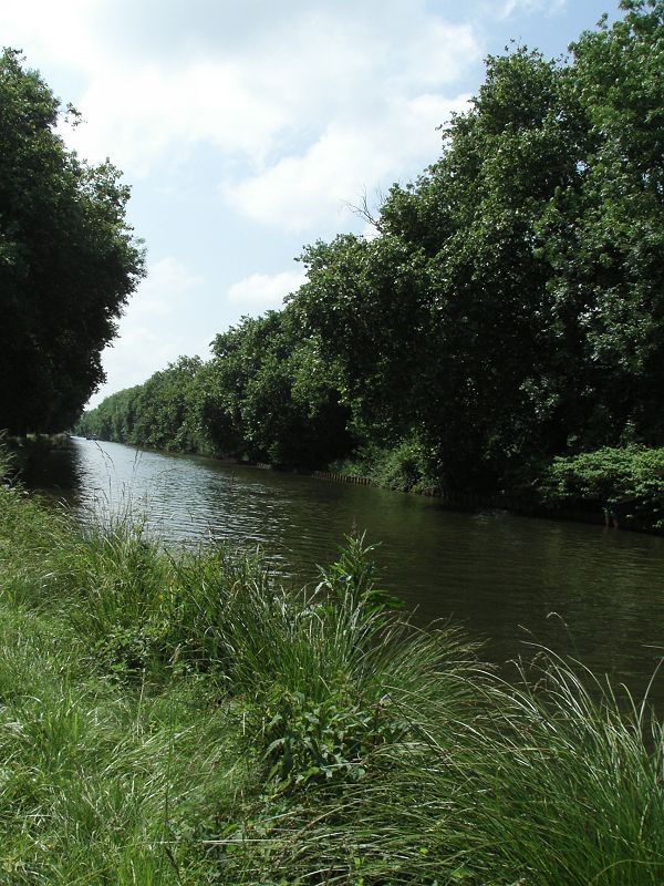 KIF_8389.JPG
