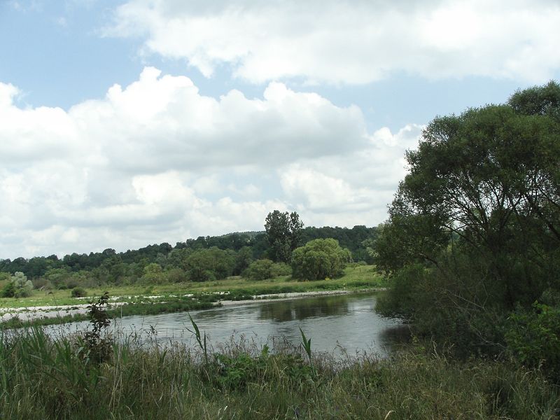 KIF_8439.JPG