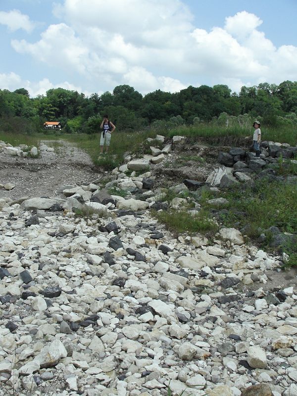 KIF_8464.JPG