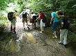 P1030406.JPG