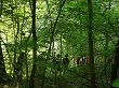 P1030428.JPG