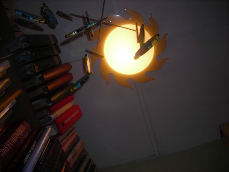 DSCN2950.JPG