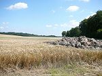 P1030530.JPG