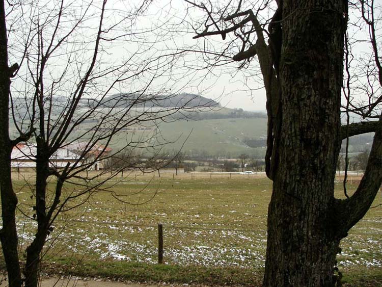 KIF_2389.jpg