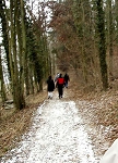 KIF_2390.jpg