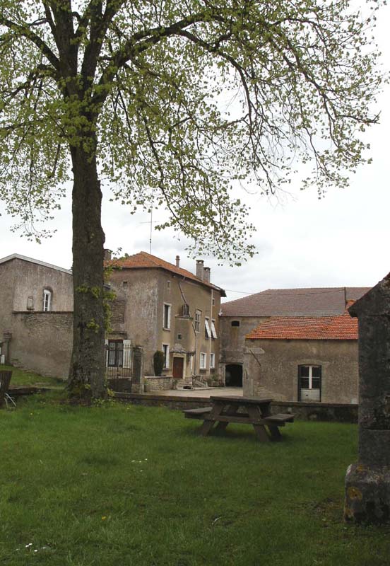 KIF_3095.jpg