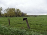 KIF_3112.jpg
