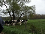KIF_3114.jpg