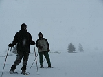 KIF_2484.jpg