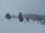 KIF_2485.jpg