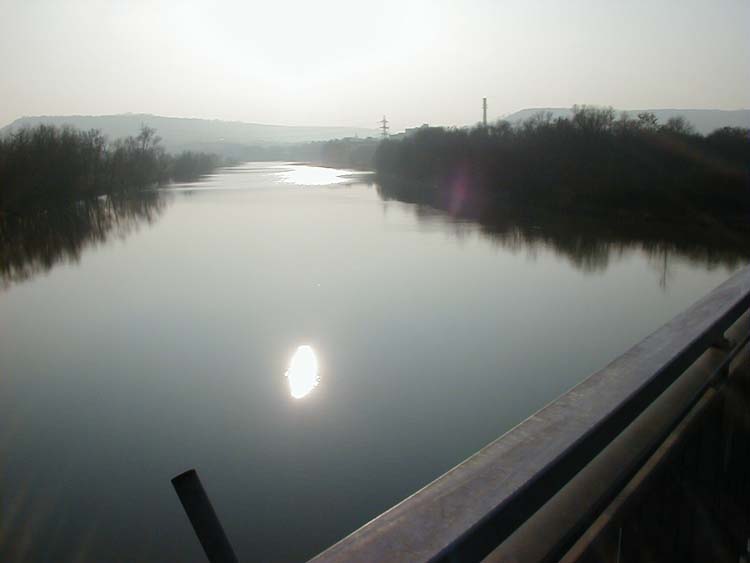 P1010069.jpg