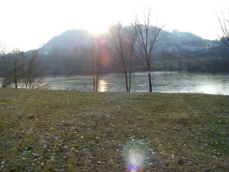 P1010078.jpg