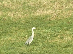 KIF_2425b.jpg