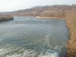 P1010068.jpg