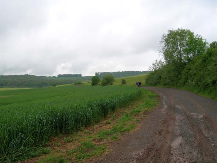 DSCN0154.jpg