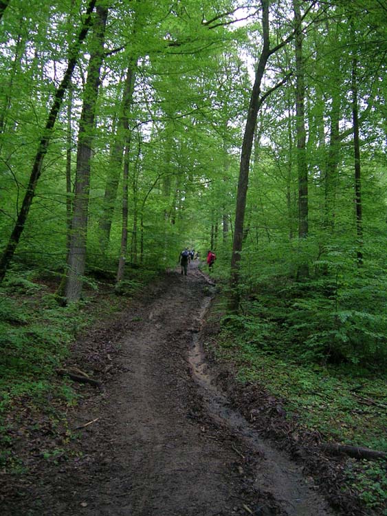 DSCN0208.jpg