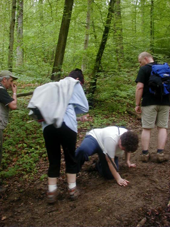 P1010370.jpg