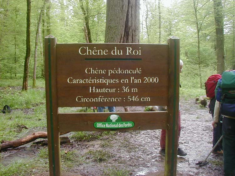 P1010384.jpg